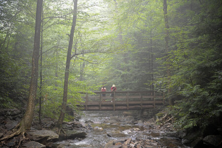Ricketts Glen State Park - Benton, PA
