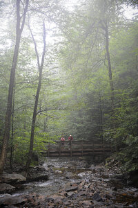 Ricketts Glen State Park - Benton, PA