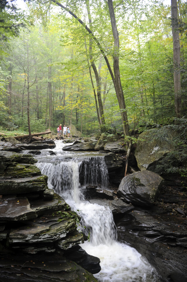 Ricketts Glen State Park