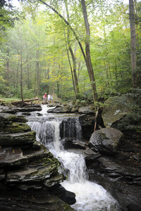 Ricketts Glen State Park