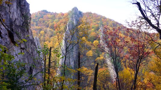 Nelson Rocks Preserve in West Virginia