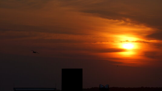 Sunset Chincoteague Island
