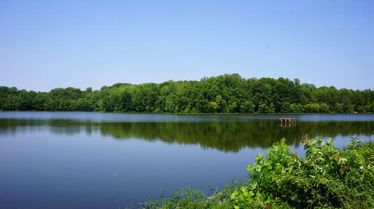 Lake Trail Burke Lake Park Virginia photo