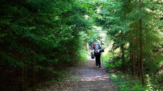 Dolly Sods Red Creek Trail