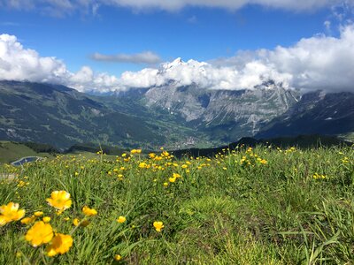View of the Mont Blanc massif and Chamonix