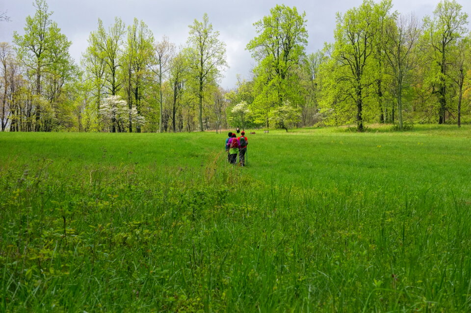 Hiking at Sky Meadow