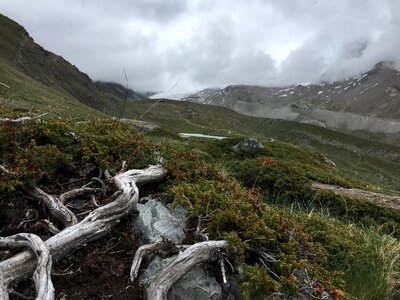 View of the Mont Blanc massif and Chamonix photo