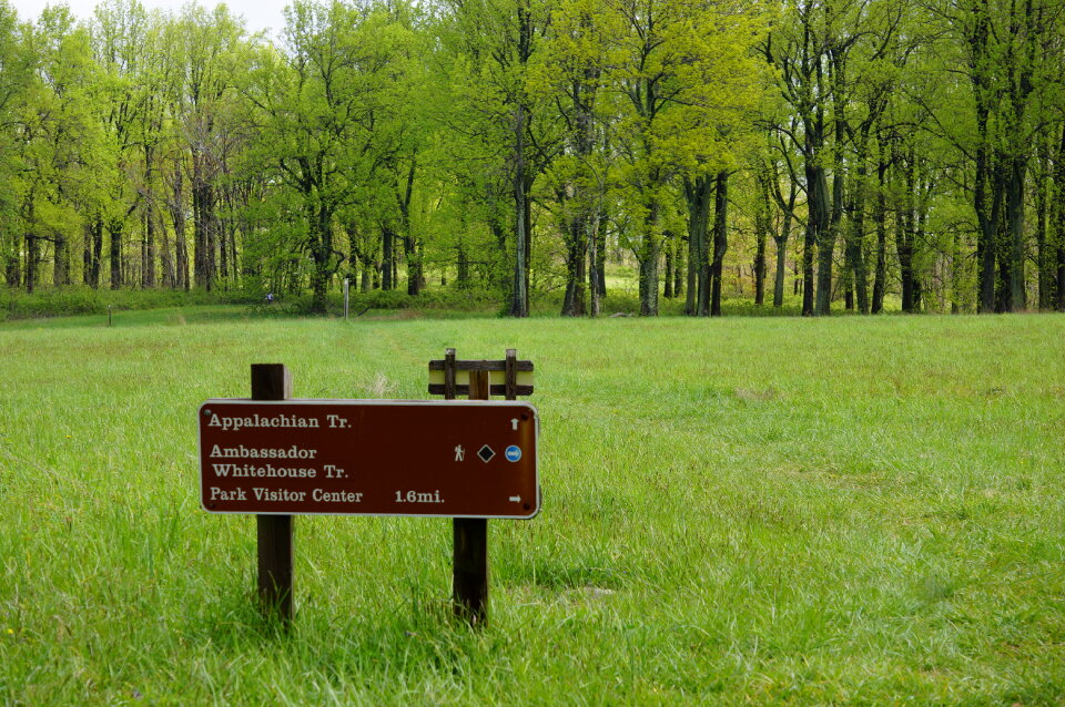 Hiking at Sky Meadow