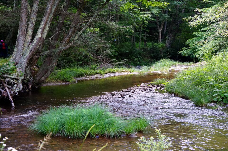 Monongahela National Forest Hiking