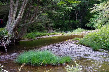 Monongahela National Forest Hiking