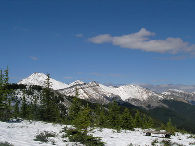 Sulphur Mountain Trail - Banff National Park photo