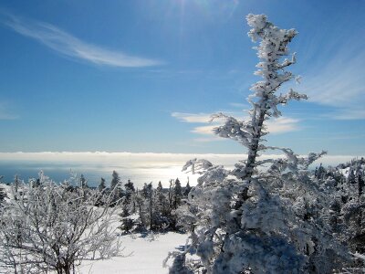 Acadia National Park Winter Snow photo