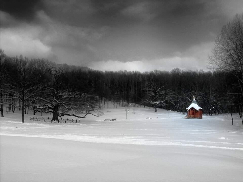 Winter park in snow