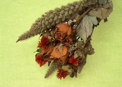Small bouquet from ears and wild flowers