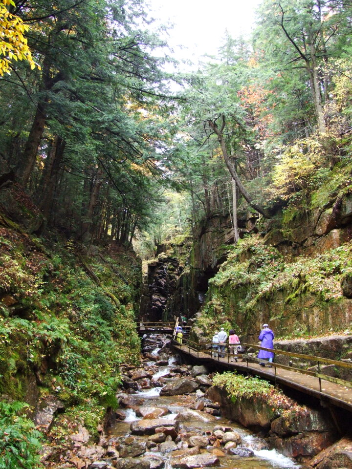 White Mountain National Forest
