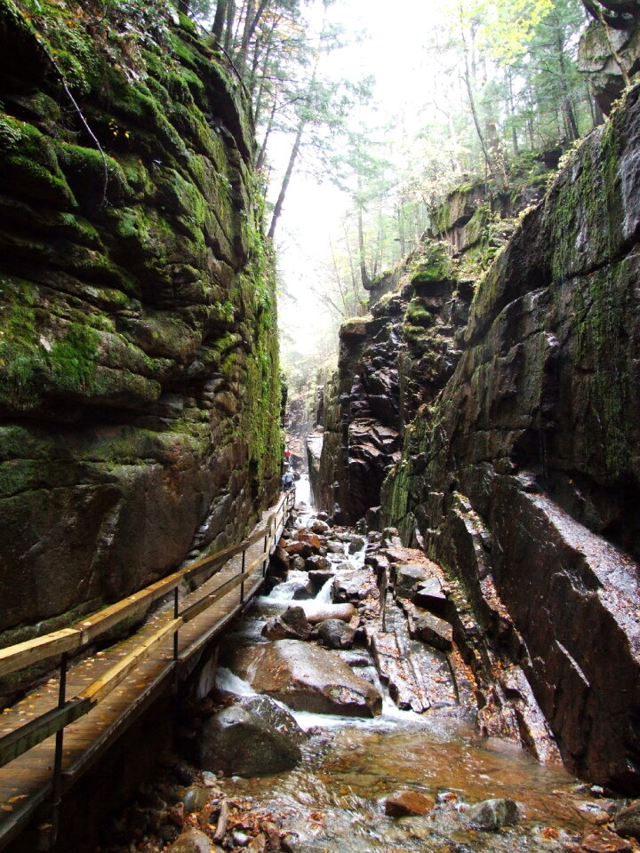 White Mountain National Forest