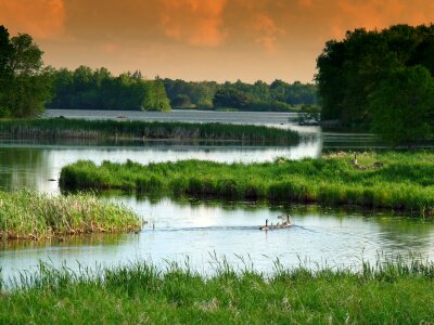 Calm Water Lake Wetland Wisconsin Landscape photo