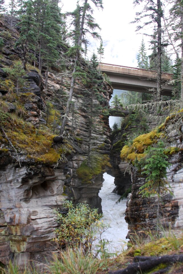 Mt. Edith Cavell, Canadian Rockies, Canada