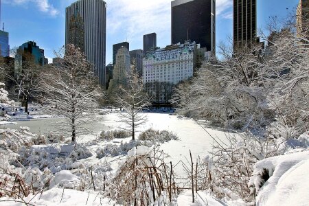 Day after snow storm in Central Park New York