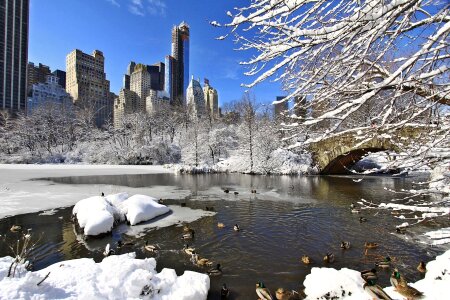 Day after snow storm in Central Park New York photo