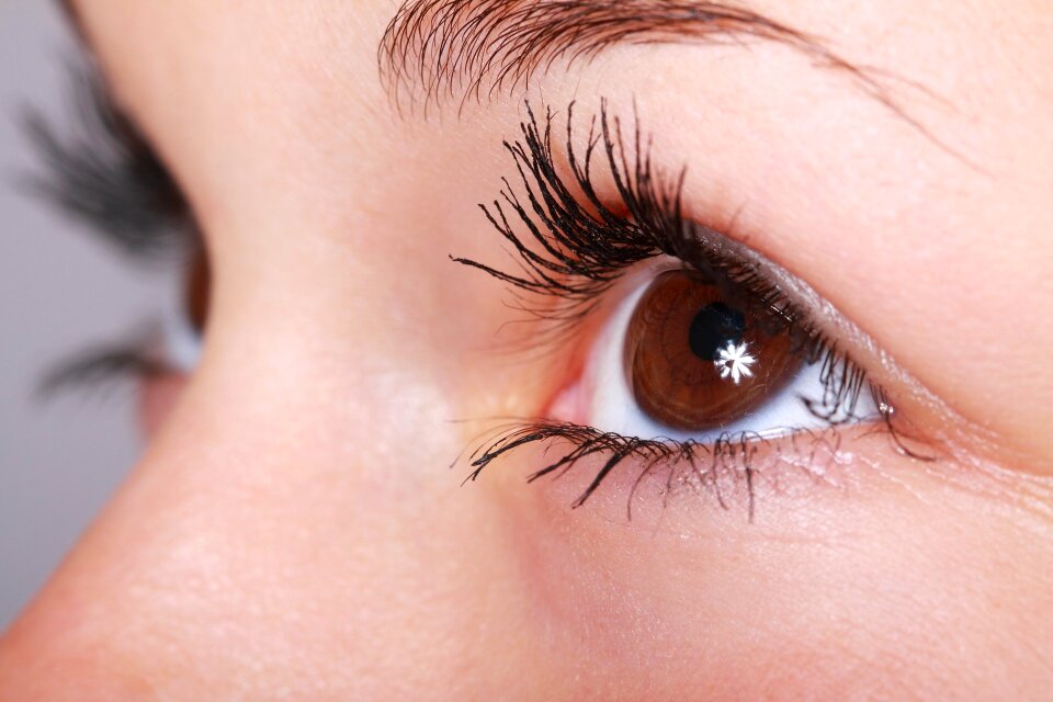 Beautiful Closeup Eye
