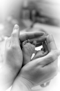 Baby feet in the mother hands photo