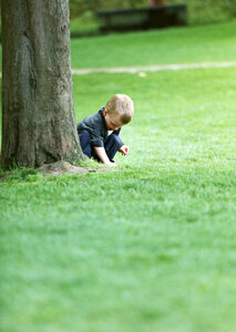 Cute little boy having fun at countryside photo