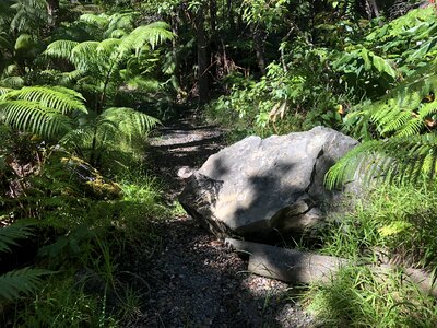 Hawaii Volcanoes National park photo