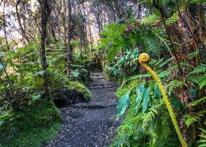 Hawaii Volcanoes National Park