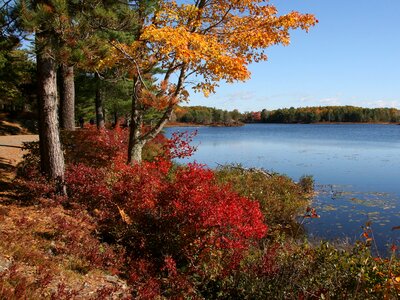 Fall Carriage Road Colors Acadia National Park photo