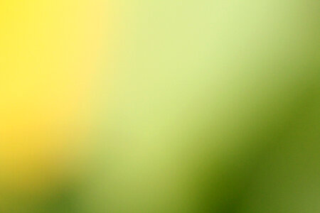 Yellow green blur background