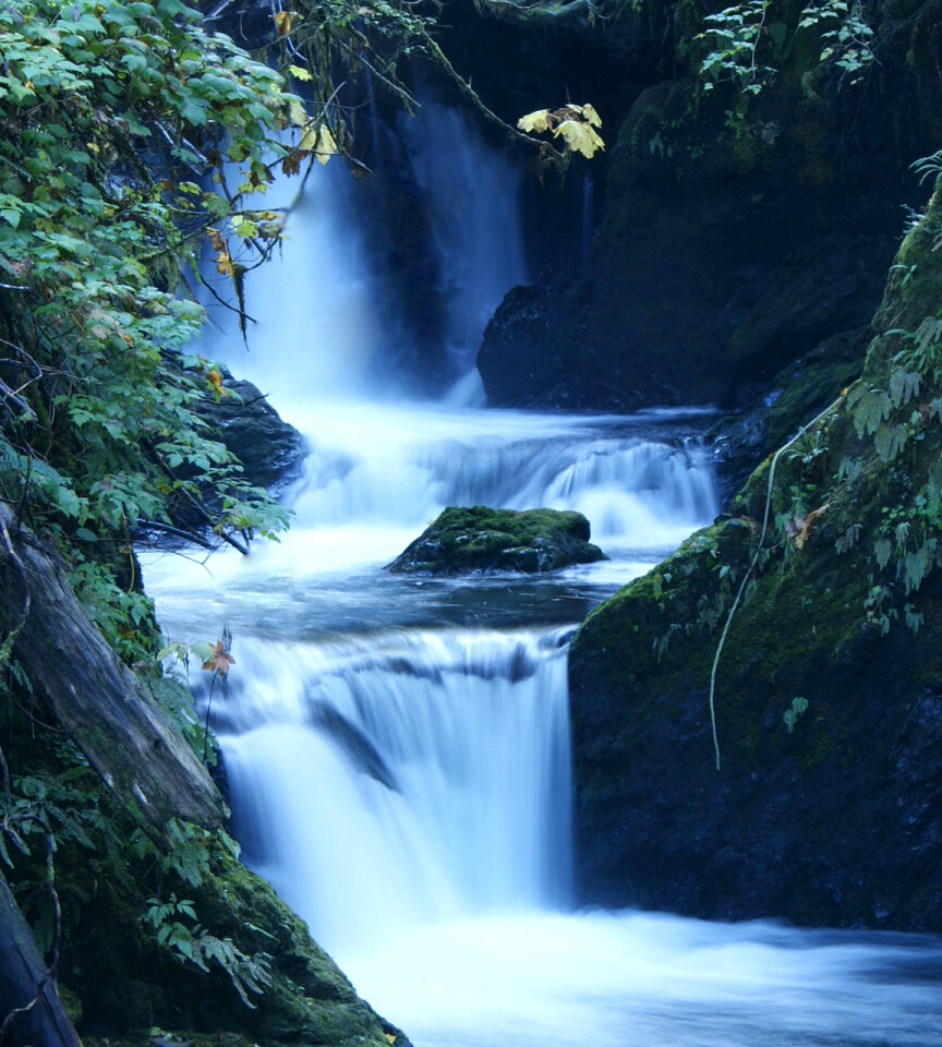 Waterfall in Quinalt near Olympic National Park.