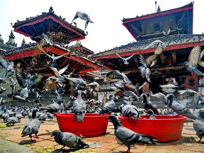 Durbar Square in Kathmandu photo