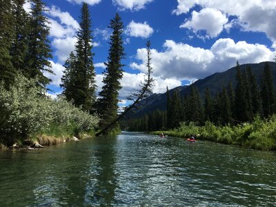 Emerald Lake in Yoho National Park, British Columbia, Canada photo