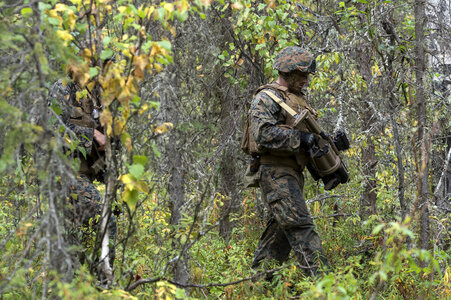 U.S. Marine Corps infantry riflemen photo