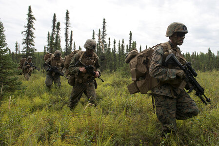 U.S. Marine Corps infantry riflemen photo