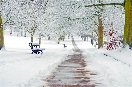Park bench and trees covered by heavy snow photo