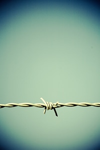 Metal wire thorn photo