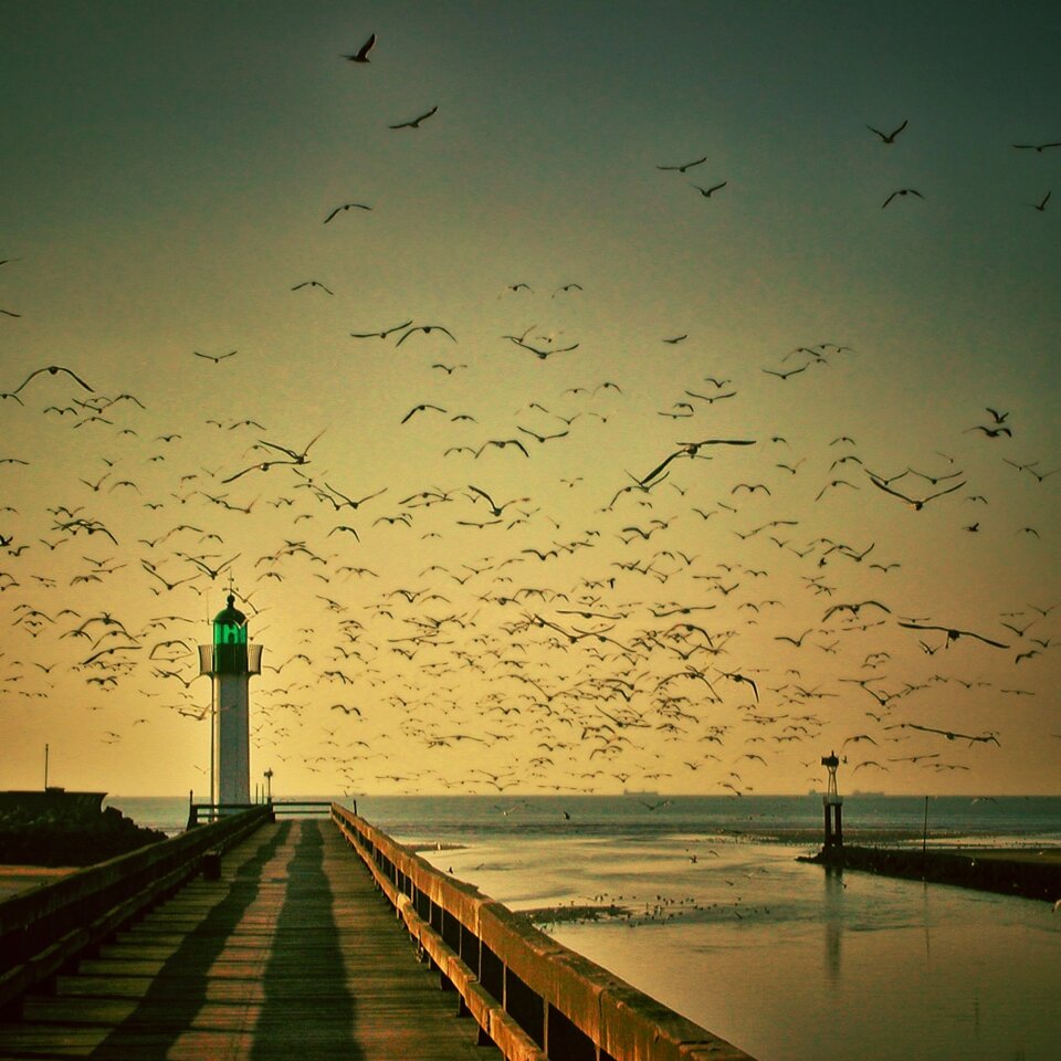 Sunset At The Grand Haven Lighthouse