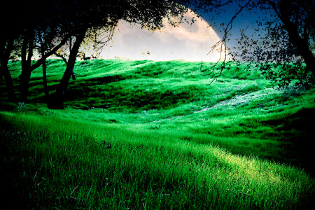 A green meadow with a moon