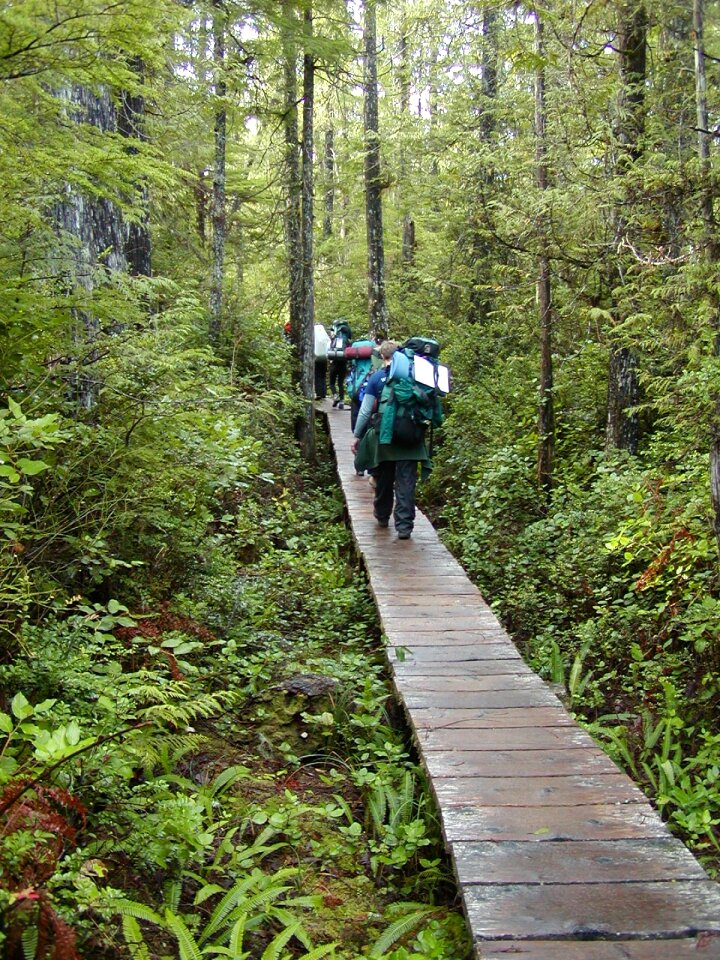 Ozette Boardwalk Trail
