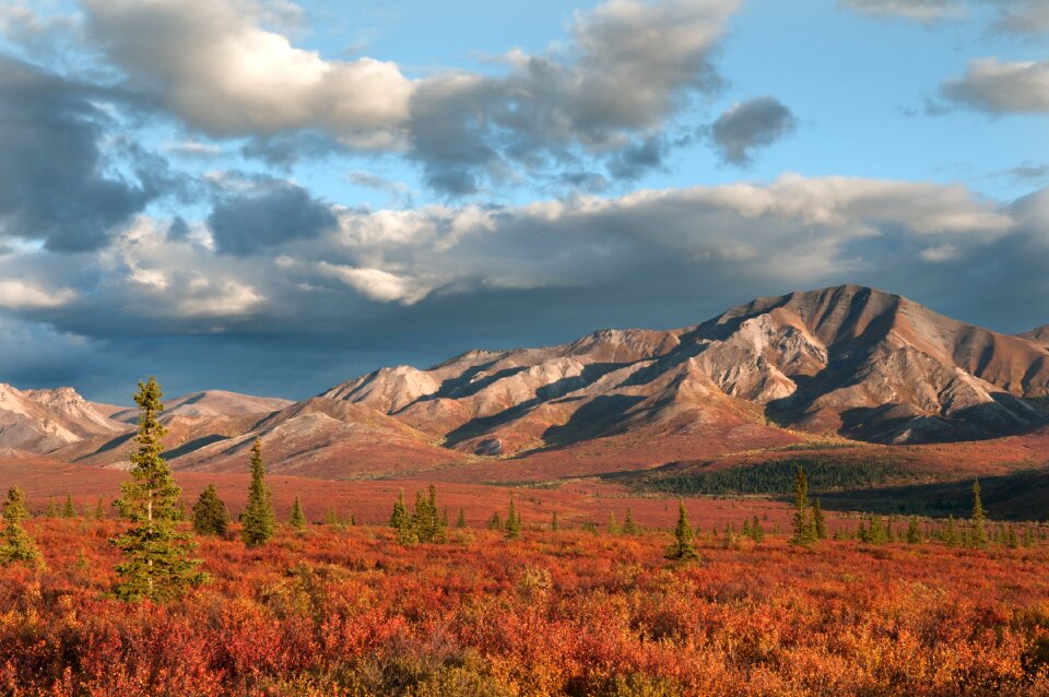 Front Country- Alaska Range in red Denali National Park