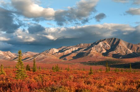 Front Country- Alaska Range in red Denali National Park