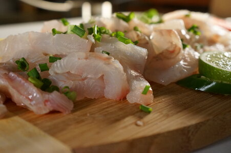 Halibut raw fish photo