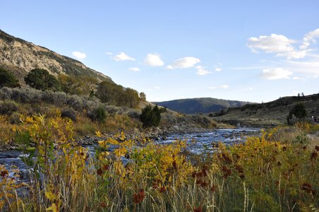 Thermal Features at Yellowstone National Park photo