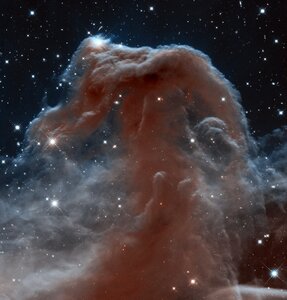 Hubble Sees a Horsehead of a Different Color photo