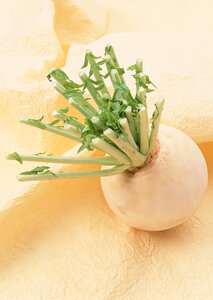 fresh radish on paper
