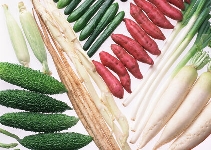 Full of fresh vegetables,