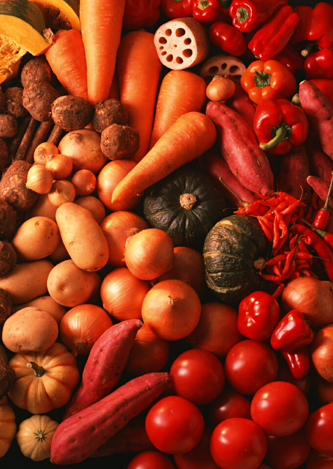 fresh organic vegetables