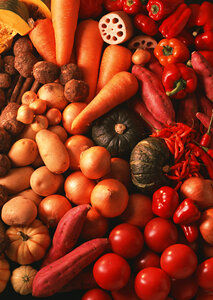 fresh organic vegetables photo